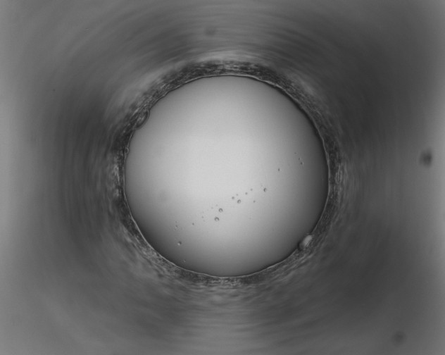 X0000116671062200912291653