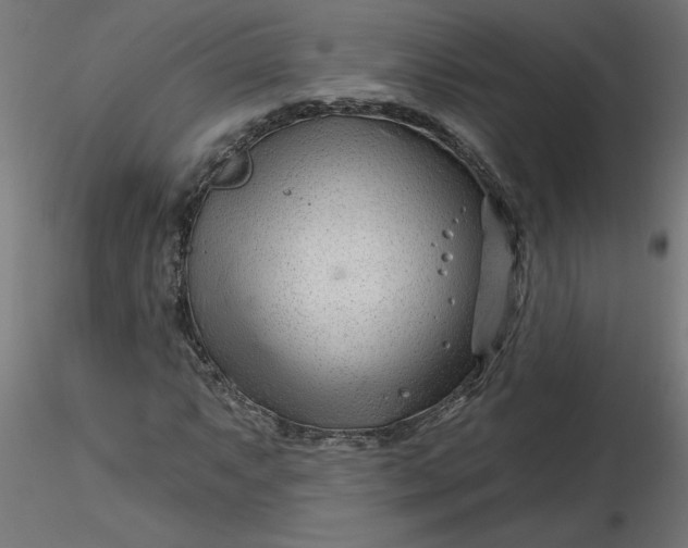 X0000116671063200912291653