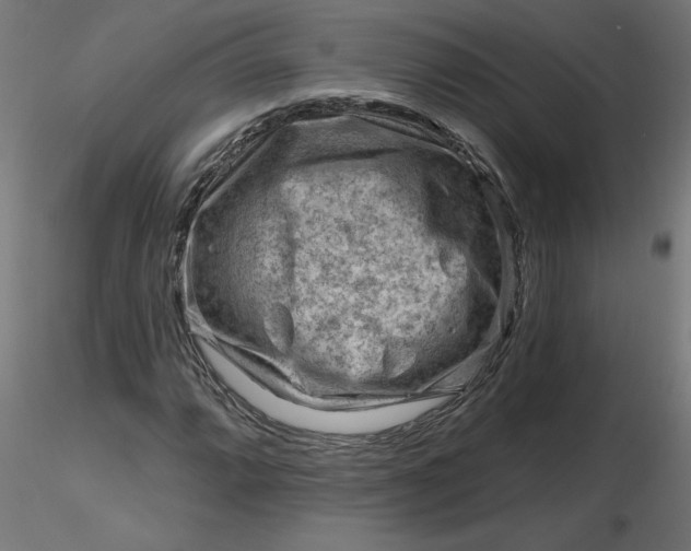 X0000116671064200912291653