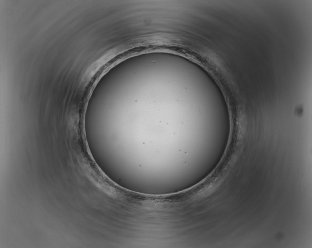 X0000116671065200912291653