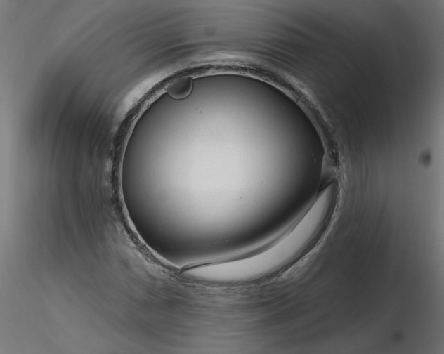 X0000116671066200912291653