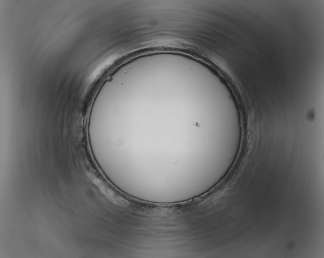 X0000116671067200912291653