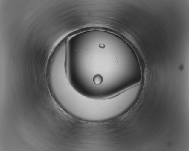 X0000116671068200912291653