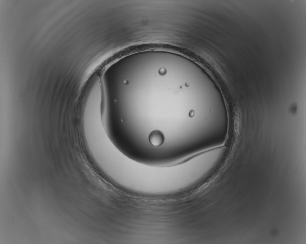 X0000116671069200912291653