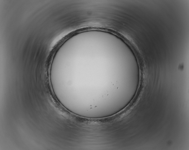 X0000116671070200912291653