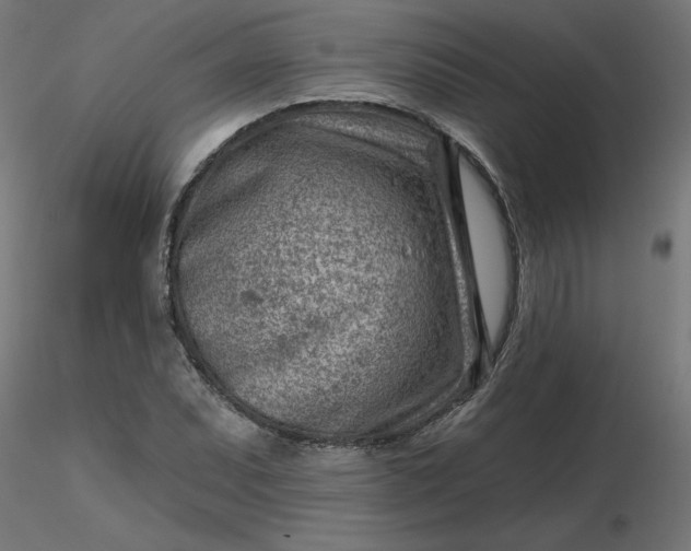 X0000116671071200912291653