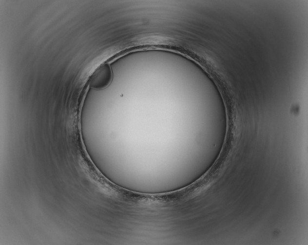 X0000116671073200912291653