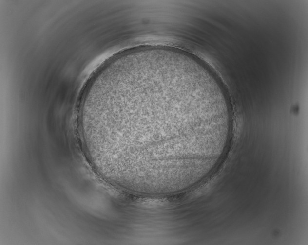 X0000116671074200912291653