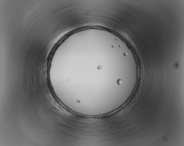 X0000116671076200912291653