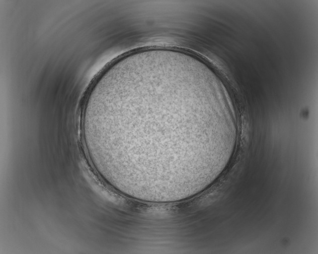 X0000116671078200912291653