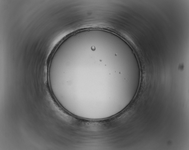 X0000116671079200912291653