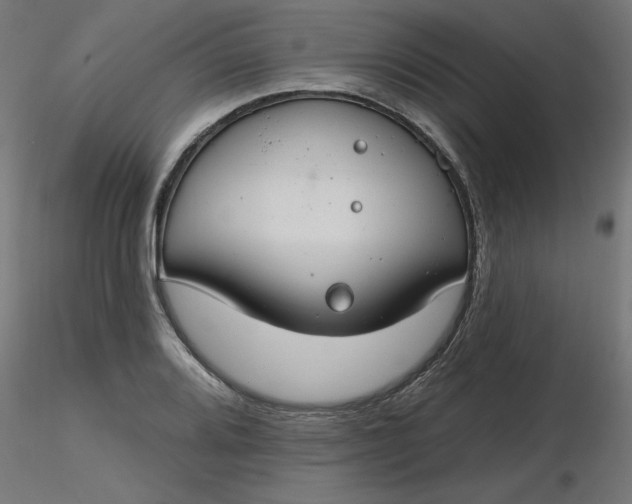 X0000116671080200912291653