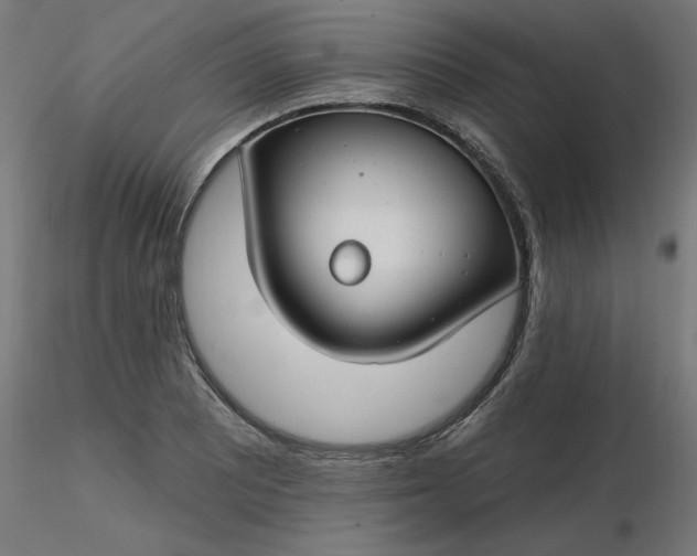 X0000116671081200912291653