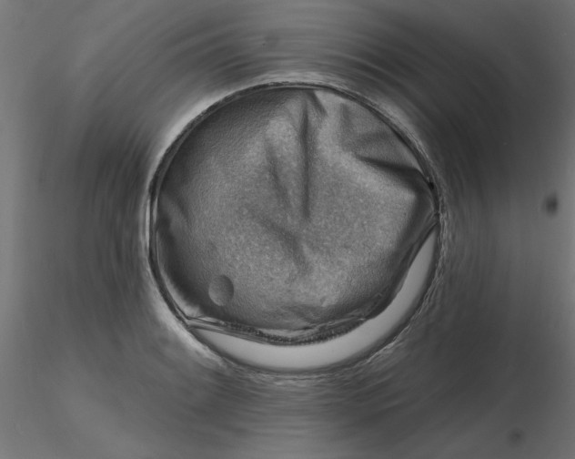 X0000116671084200912291653