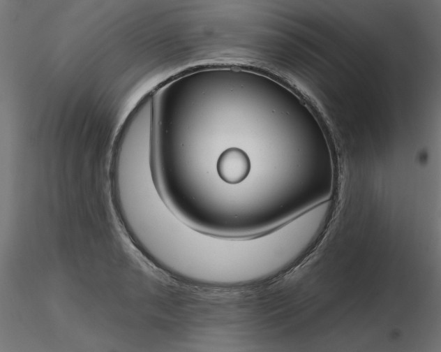 X0000116671085200912291653