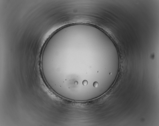 X0000116671086200912291653