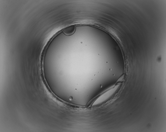 X0000116671087200912291653