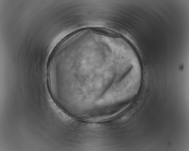 X0000116671088200912291653