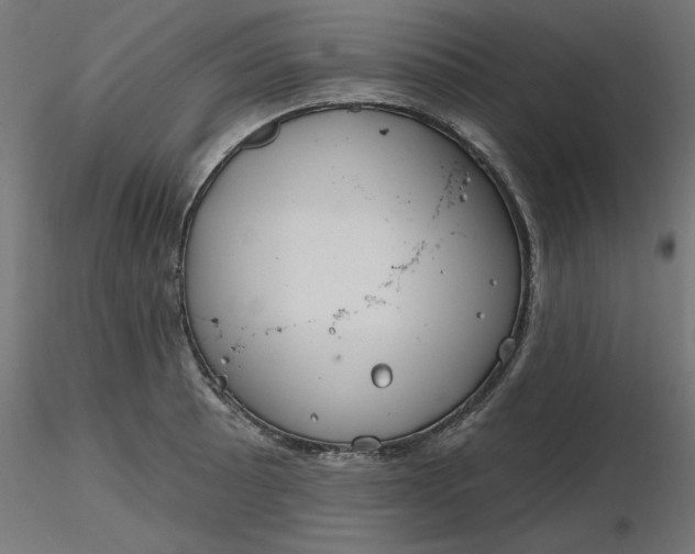 X0000116671089200912291653