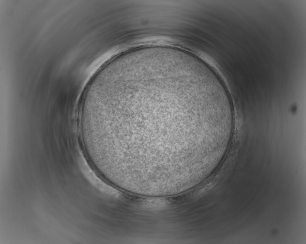 X0000116671090200912291653