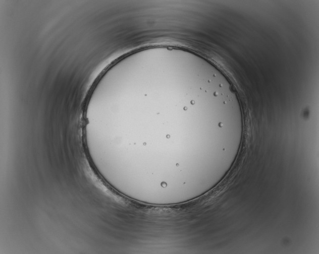 X0000116671092200912291653