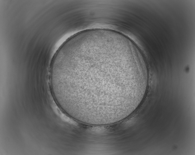 X0000116671094200912291653