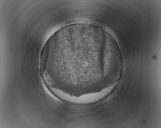 X0000116671095200912291653