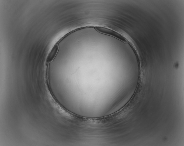 X0000116671096200912291653