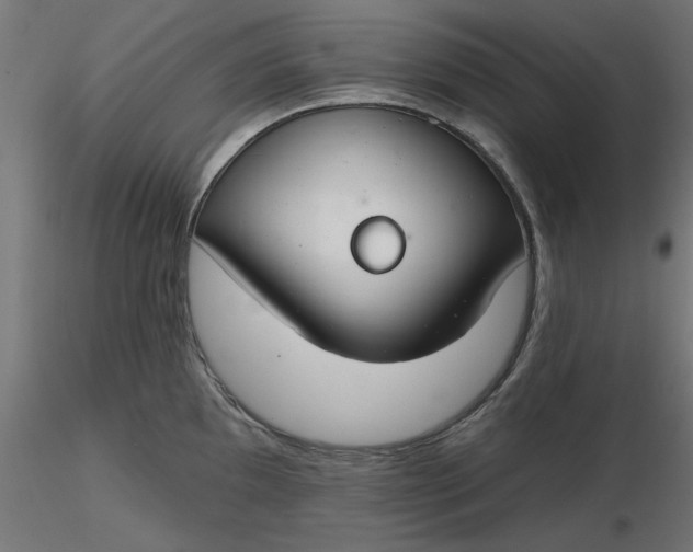 X0000116671097200912291653