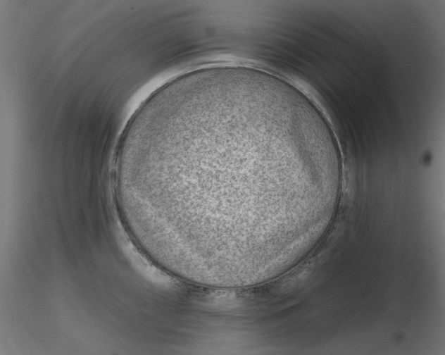 X0000116671098200912291653