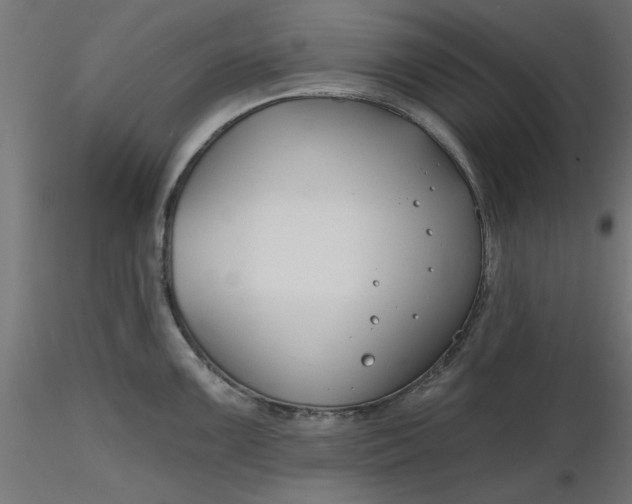 X0000116671099200912291653