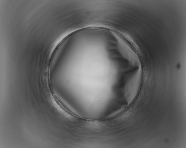 X0000116671100200912291653