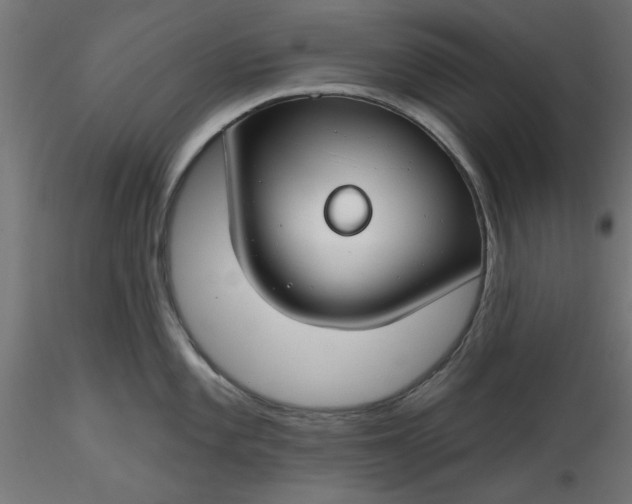 X0000116671101200912291653