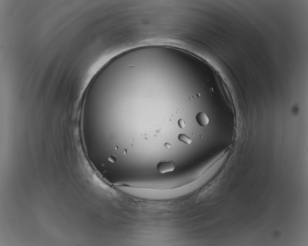 X0000116671102200912291653