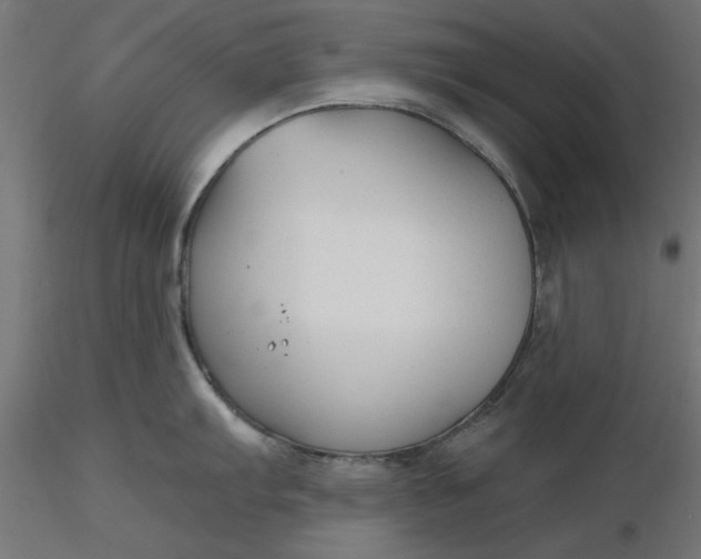 X0000116671103200912291653