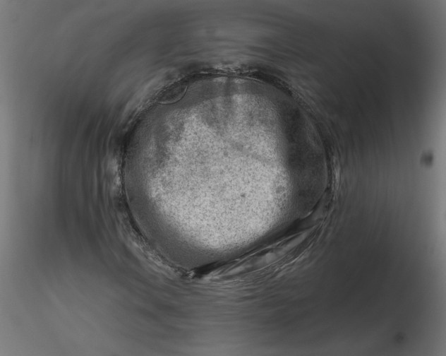 X0000116671106200912291652