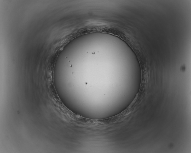 X0000116671109200912291652