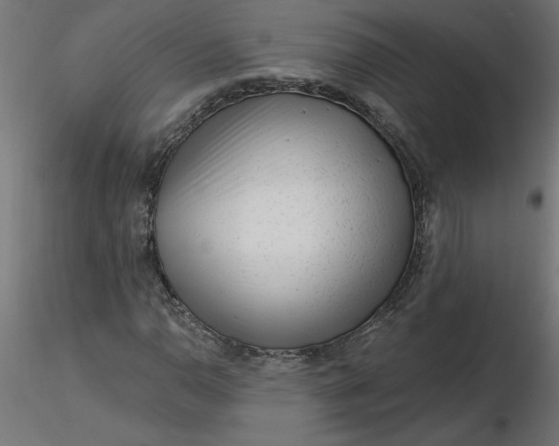 X0000116671110200912291652