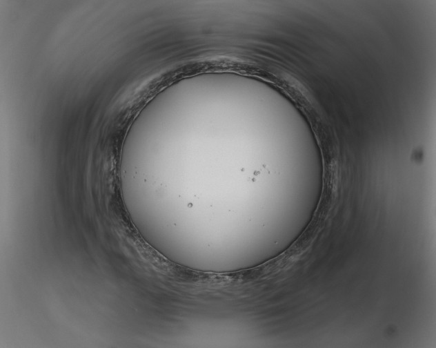 X0000116671111200912291652