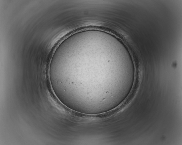 X0000116671113200912291652