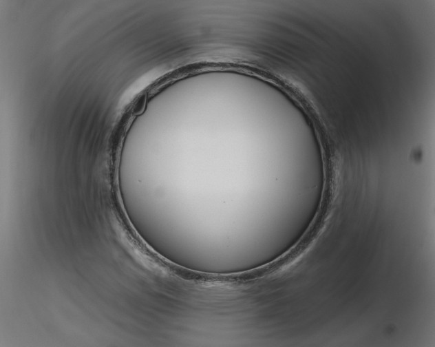 X0000116671114200912291652