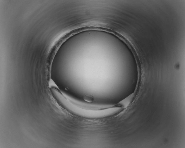 X0000116671115200912291652