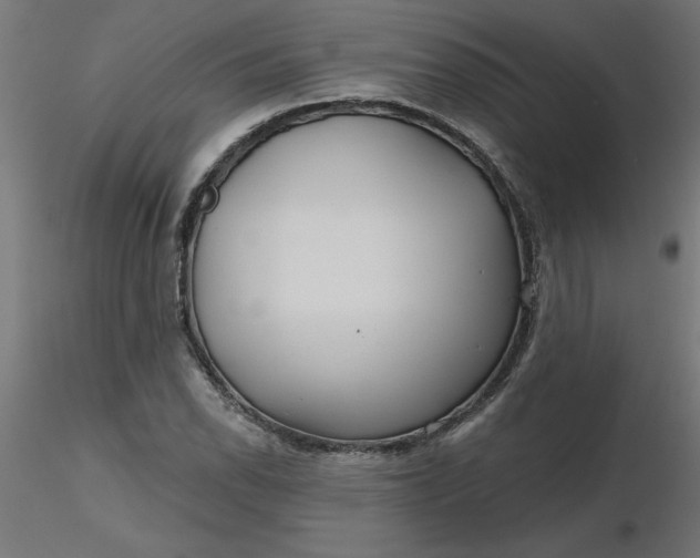 X0000116671118200912291652