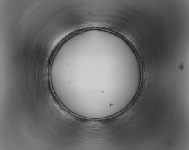 X0000116671119200912291652