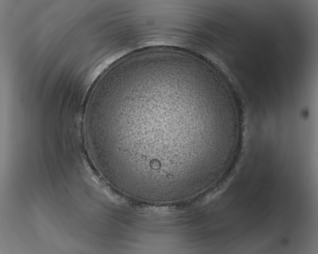 X0000116671121200912291652