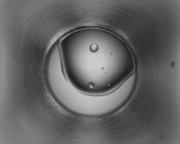 X0000116671122200912291652