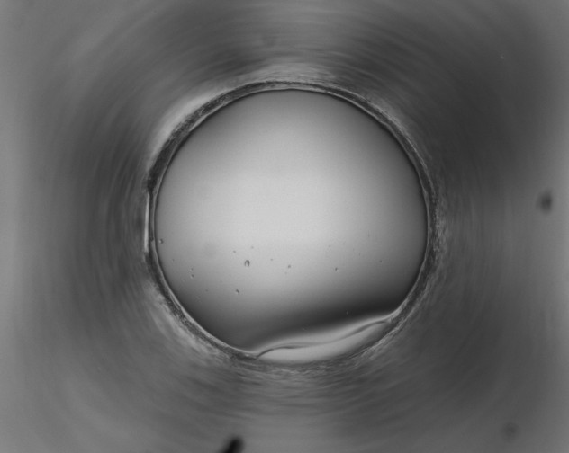 X0000116671123200912291652