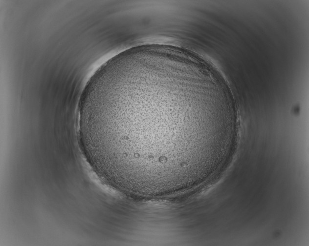 X0000116671125200912291653