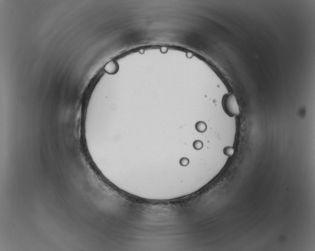 X0000116671126200912291653