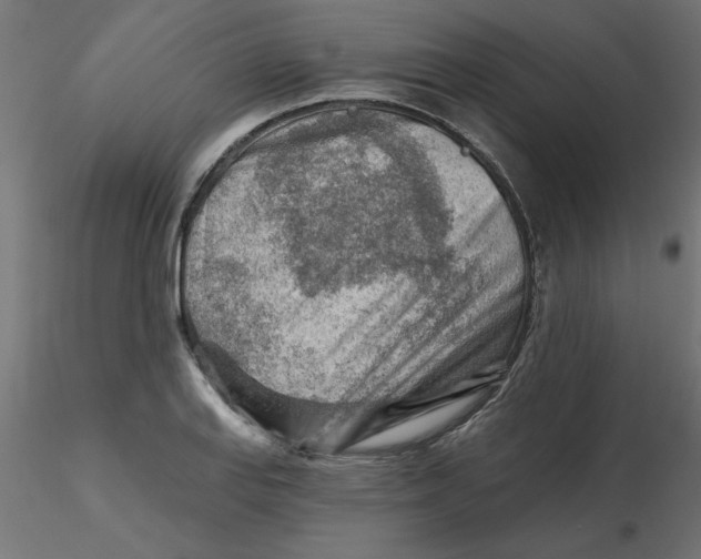 X0000116671127200912291653